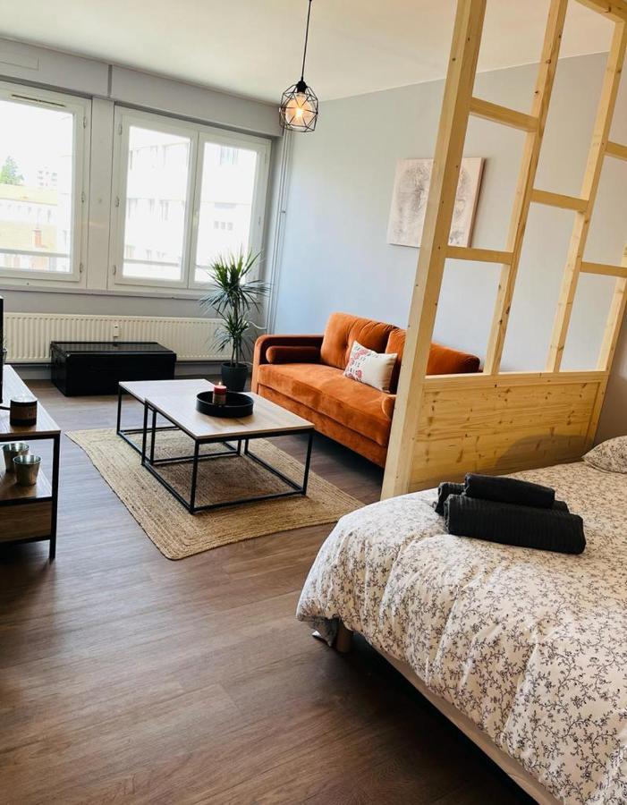 Espace 500 - Cosy, Wifi & Vue Sur La Ville Сент-Етьєн Екстер'єр фото