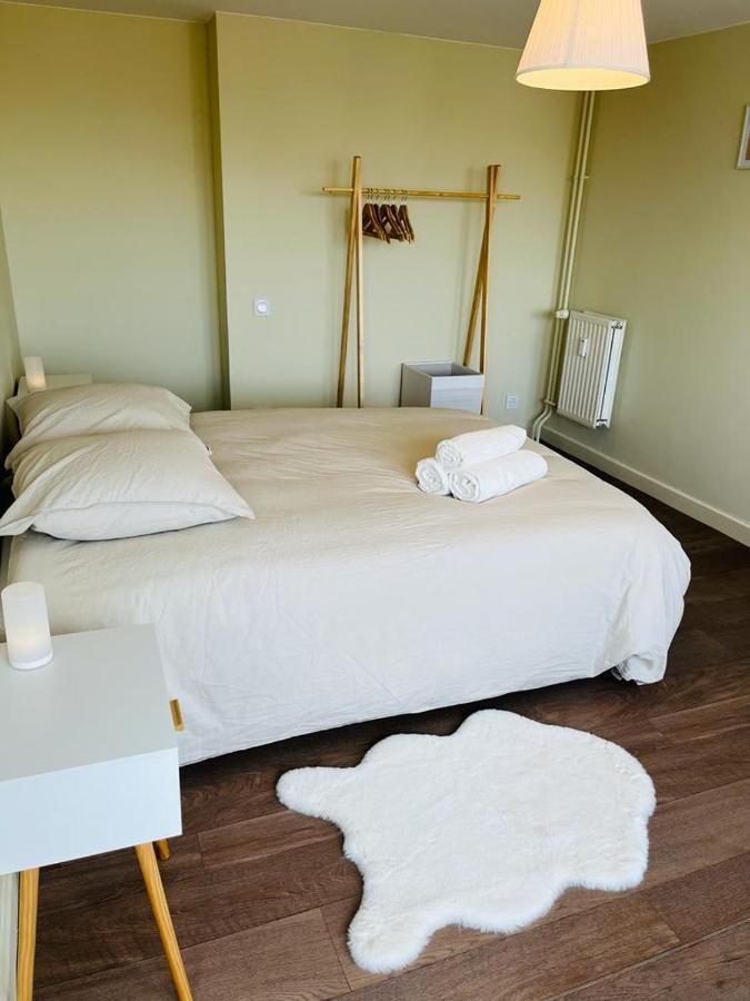 Espace 500 - Cosy, Wifi & Vue Sur La Ville Сент-Етьєн Екстер'єр фото